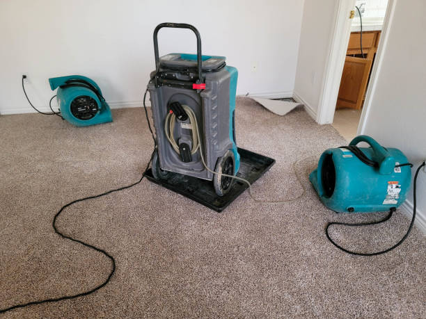  North Caldwell, NJ Water damage restoration Pros