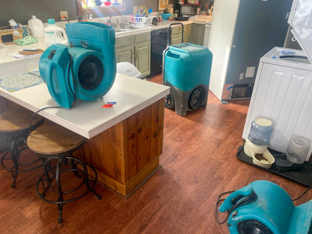 Best Carpet water damage restoration  in North Caldwell, NJ