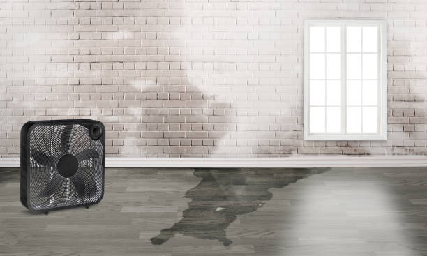 Best Residential water damage restoration  in North Caldwell, NJ