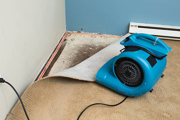 Best Flood damage cleanup  in North Caldwell, NJ